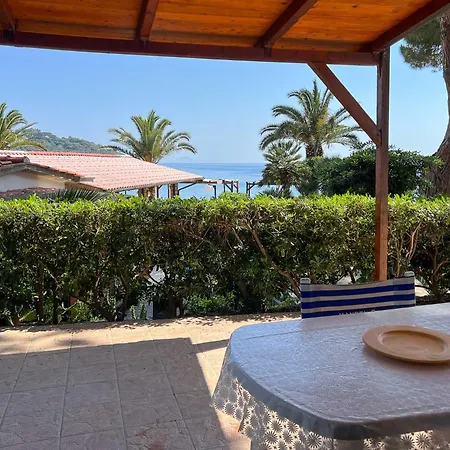 Mandel 2 By Mandel Club كابوليفيري