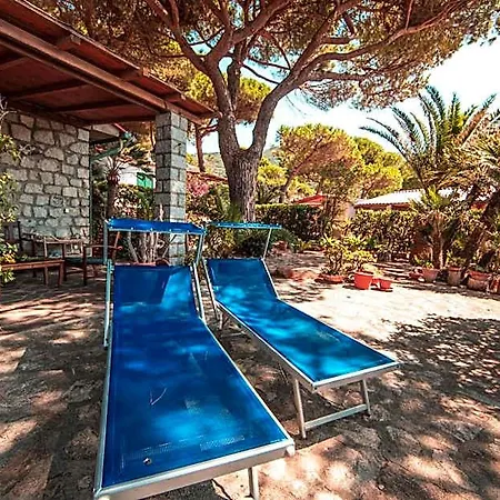 Mandel 2 By Mandel Club 4*