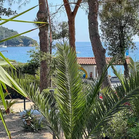 Mandel 2 By Mandel Club