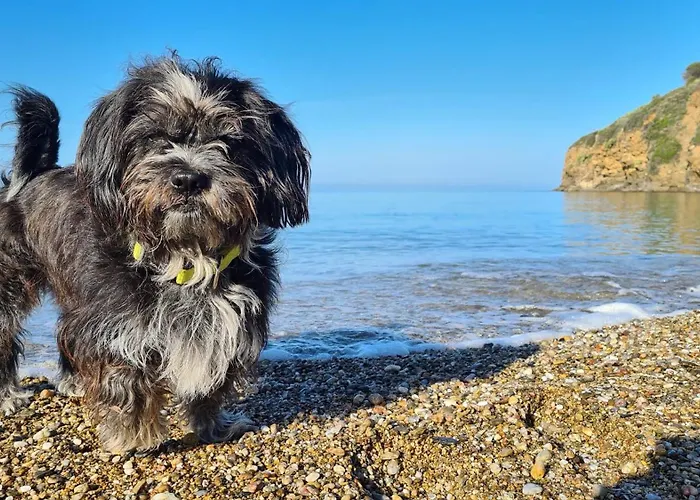 Mandel 2 By Mandel Club 3*